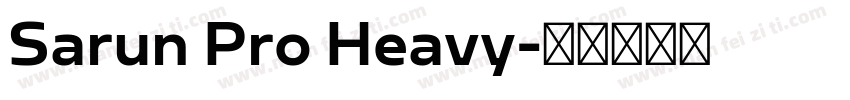 Sarun Pro Heavy字体转换
